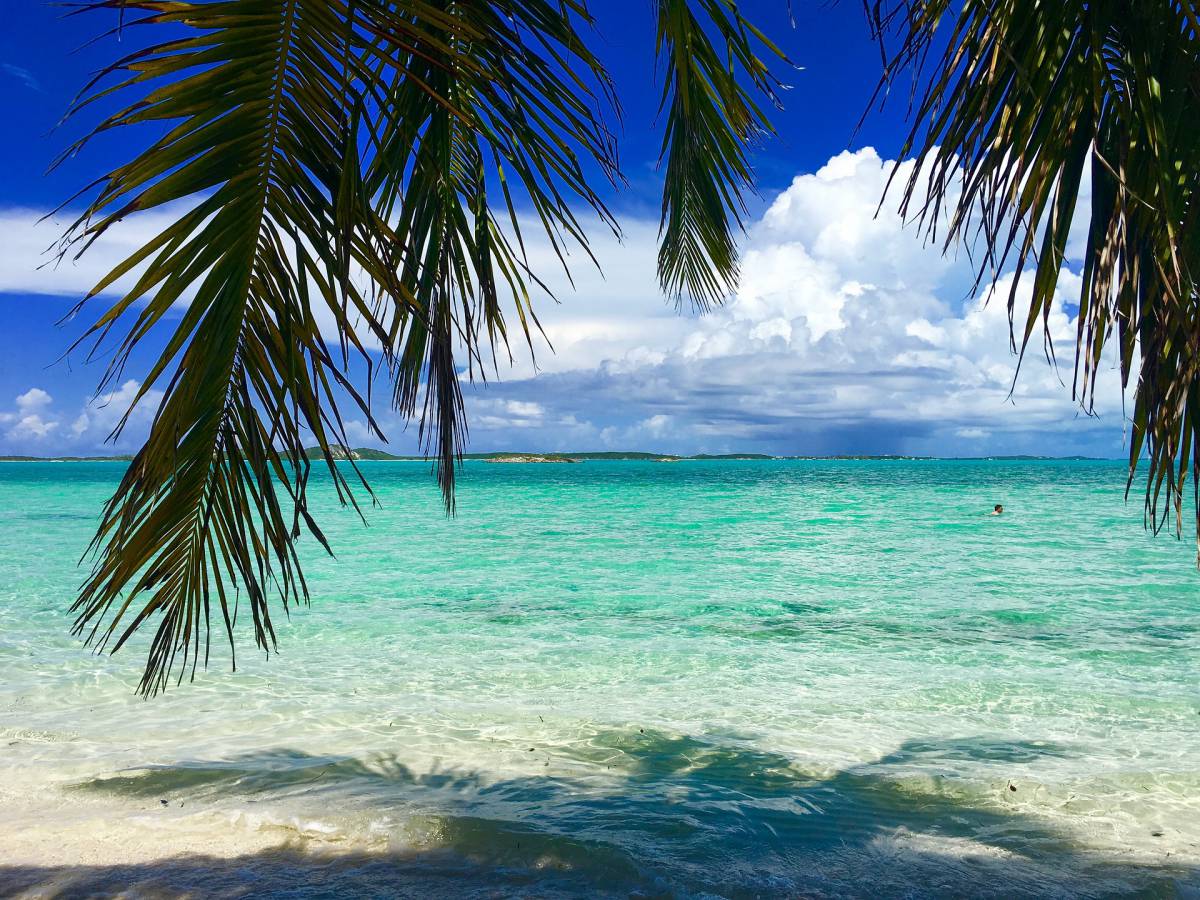 Airbnb regala un viaggio gratis alle Bahamas article-post