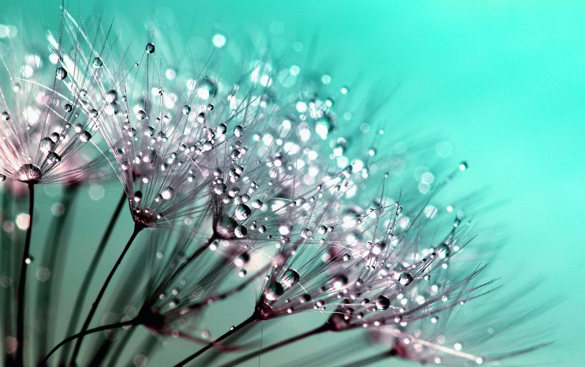 Moda e natura: è possibile unire questi due universi? article-post