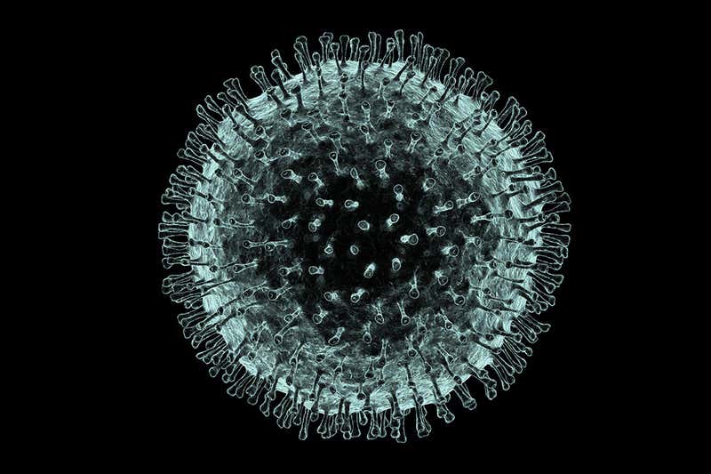 Mutazione del virus “Wuhan”: ora più contagioso e mortale article-post