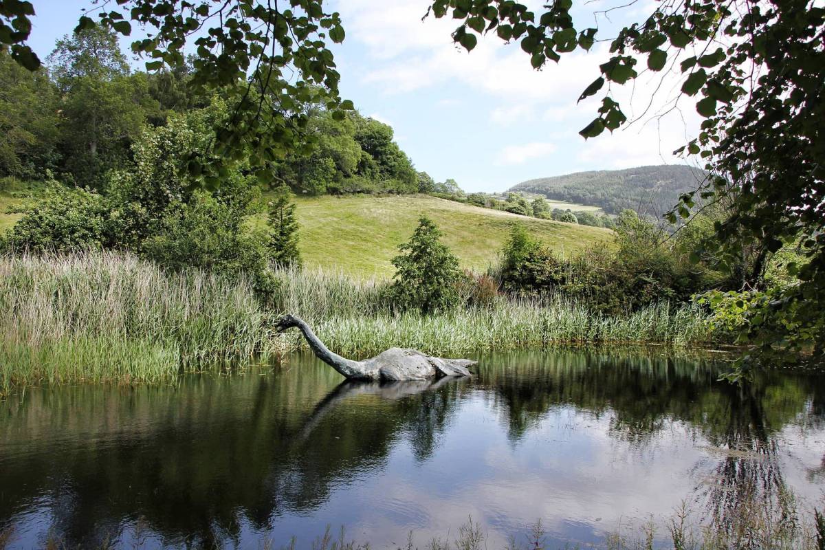 Nessie esiste? Scoperto uno scheletro misterioso in Scozia (FOTO) article-post