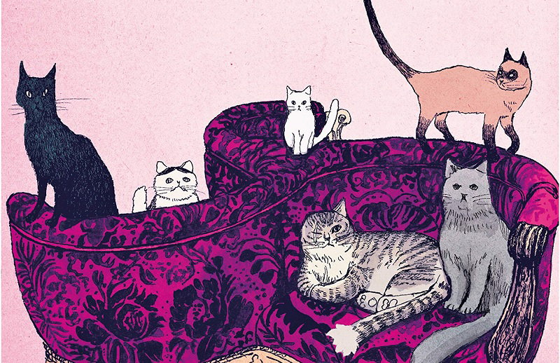 Un manga, Parigi e i gatti article-post