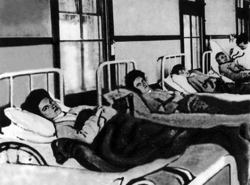 La storia di Mary Mallon “Typhoid Mary”: la super diffusore del tifo article-post