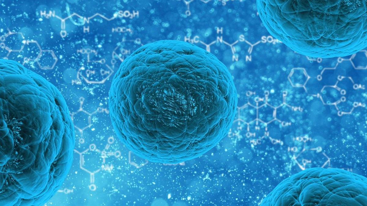 Le vecchie cellule umane ringiovanite con una nuova tecnica di cellule staminali article-post