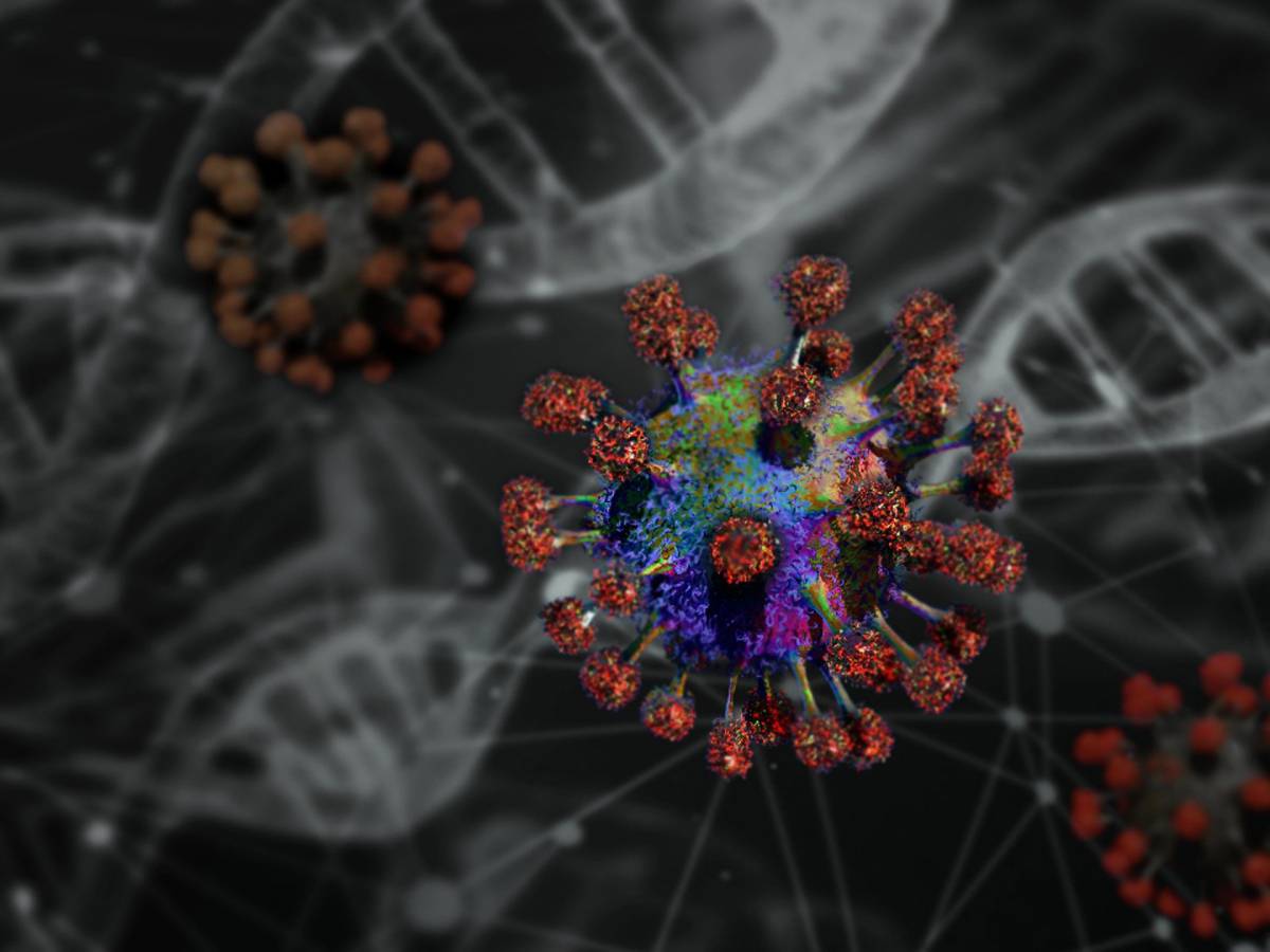 Coronavirus: il test rapido in soli 15 minuti, prezzo e dove trovarlo article-post