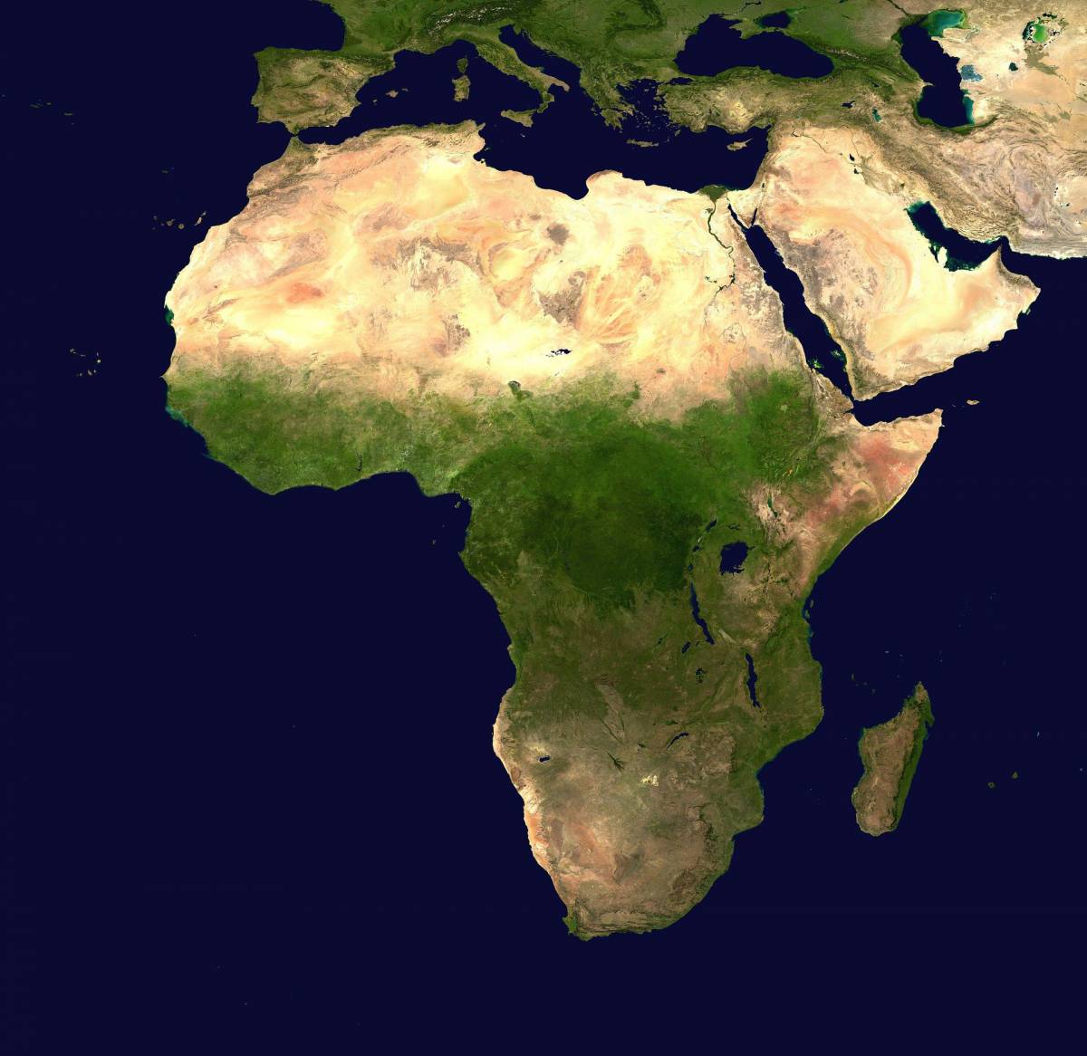 Dalle accuse di Trump, alla diffusione del Covid in Africa article-post