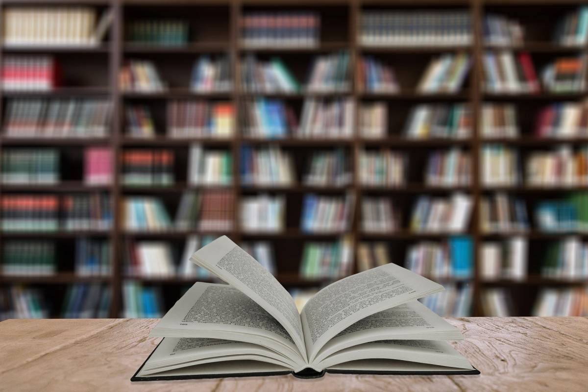Riaprono le librerie: per alcuni è ancora “lockdown” article-post