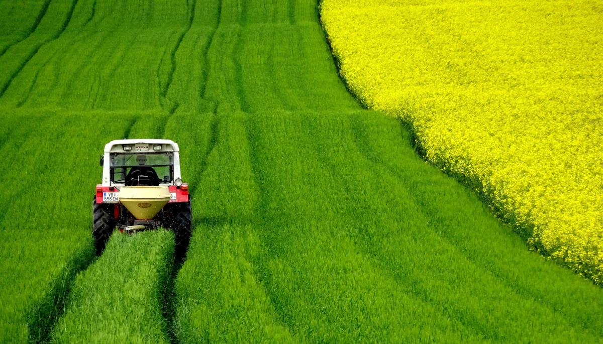 Settore agro-alimentare in crisi: il lockdown mette in crisi la produzione e la distribuzione degli alimenti article-post