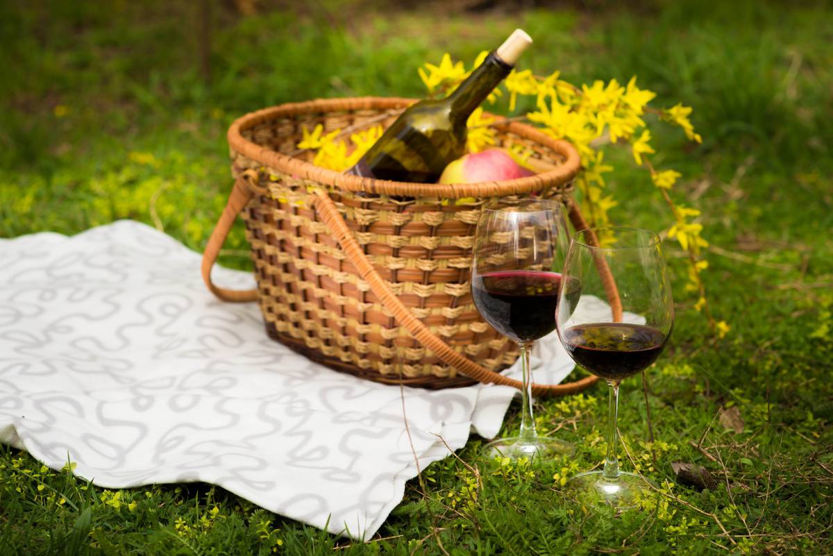 Picnic: come organizzarlo, gli accessori indispensabili e quale cibo scegliere article-post