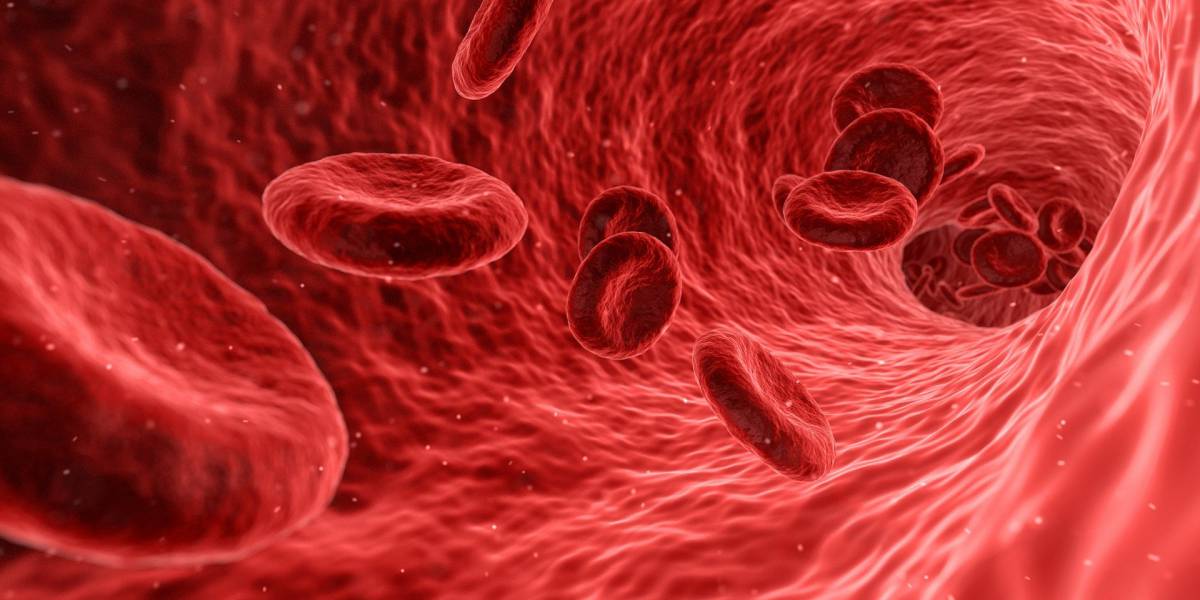 Covid-19: anticorpi estratti dal plasma per curare il coronavirus article-post