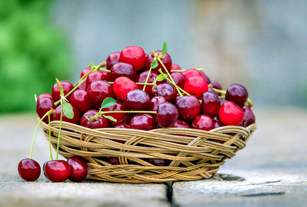 Ciliegie: proprietà benefici, come scegliere le migliori e la dieta delle ciliegie article-post