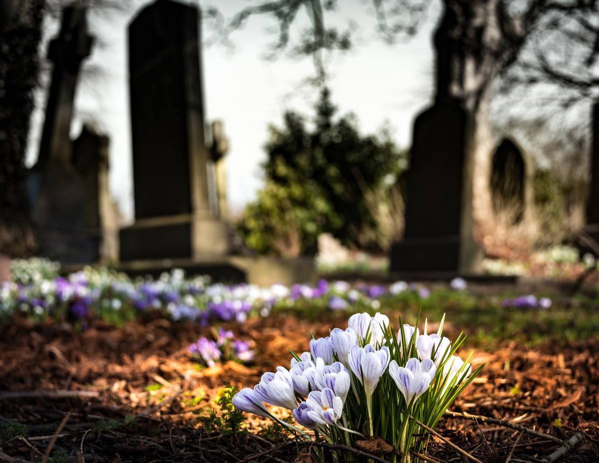Napoli, da domani 4 maggio riaprono i cimiteri: no a fiori artificiali article-post