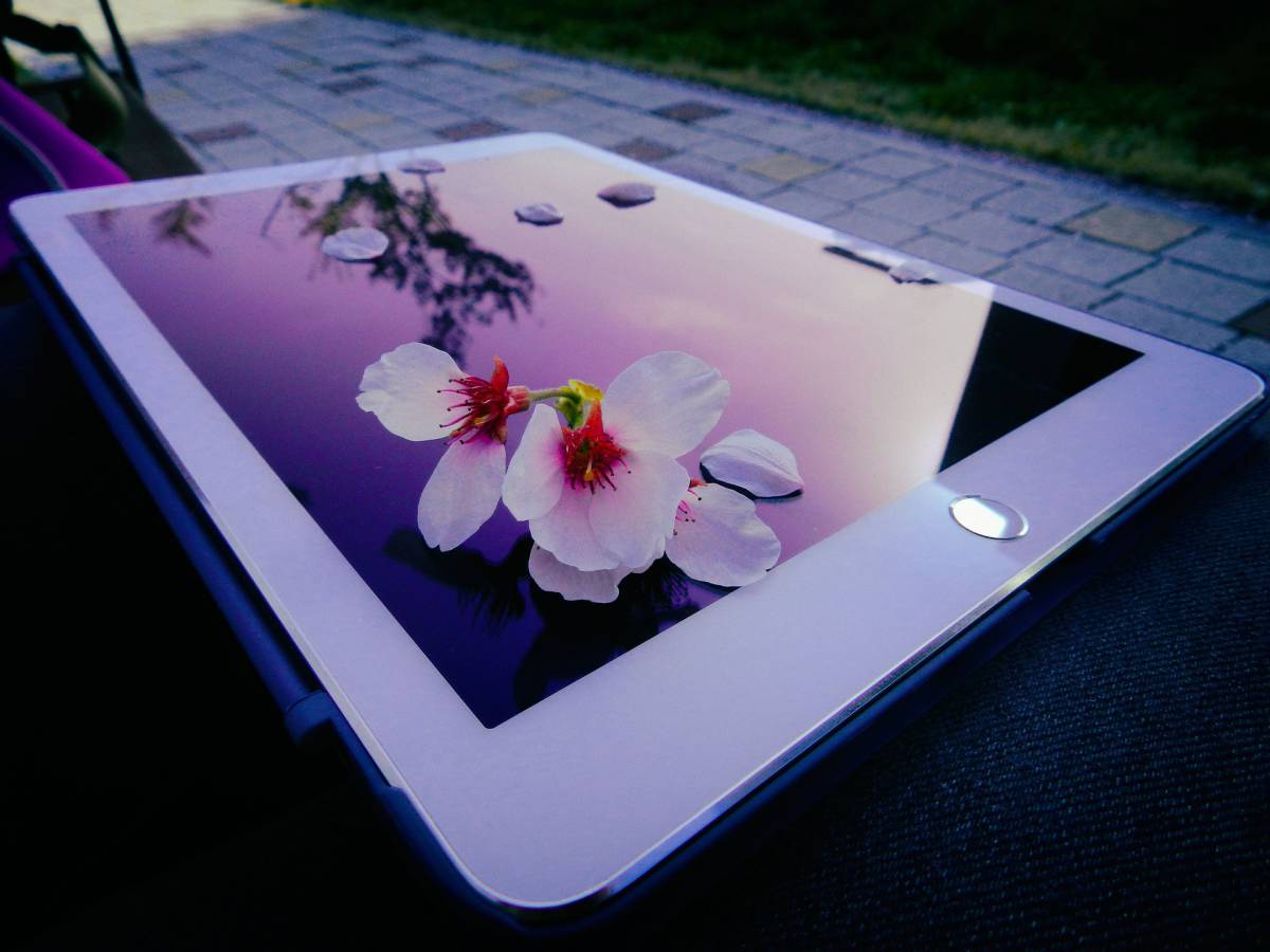 Novità Adobe: semplificazioni sugli iPad article-post