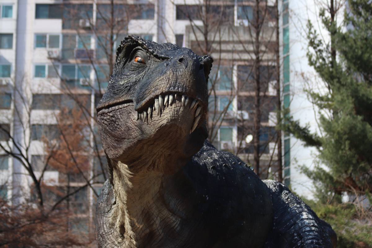 I parchi dei dinosauri in Italia: come viaggiare indietro nel tempo article-post