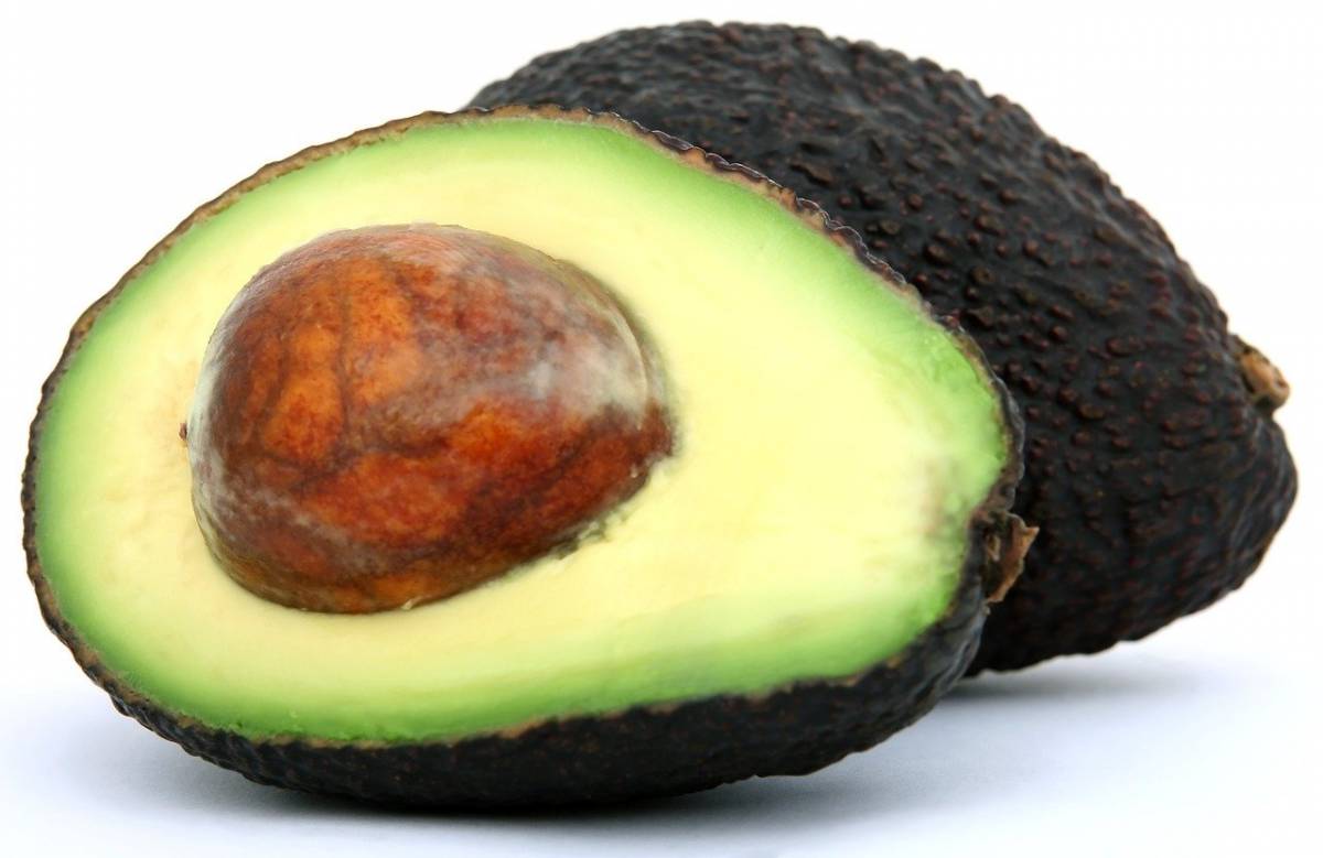 Il trucco per conservare, far maturare e rendere più morbido l’avocado: l’acqua article-post