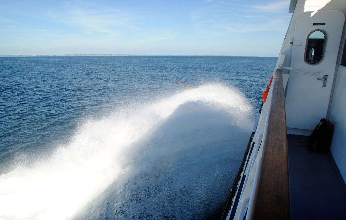 Migranti positivi: seconda nave per la quarantena article-post