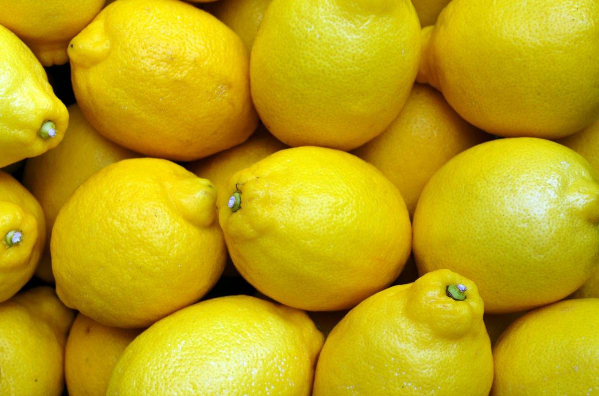 Limone nella lavastoviglie: ecco l’incredibile motivo article-post