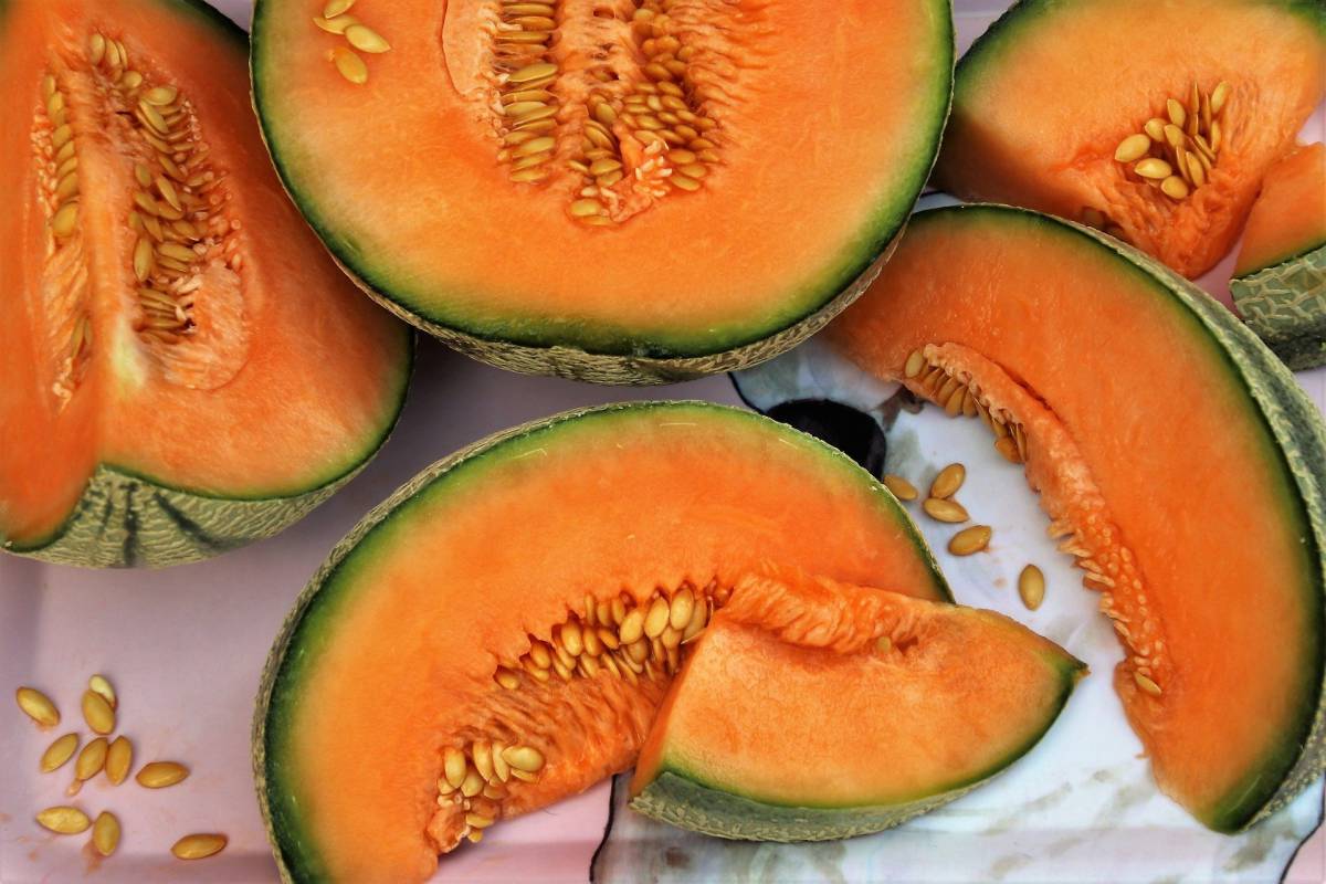 Melone giallo cantalupo: proprietà, calorie e benefici article-post