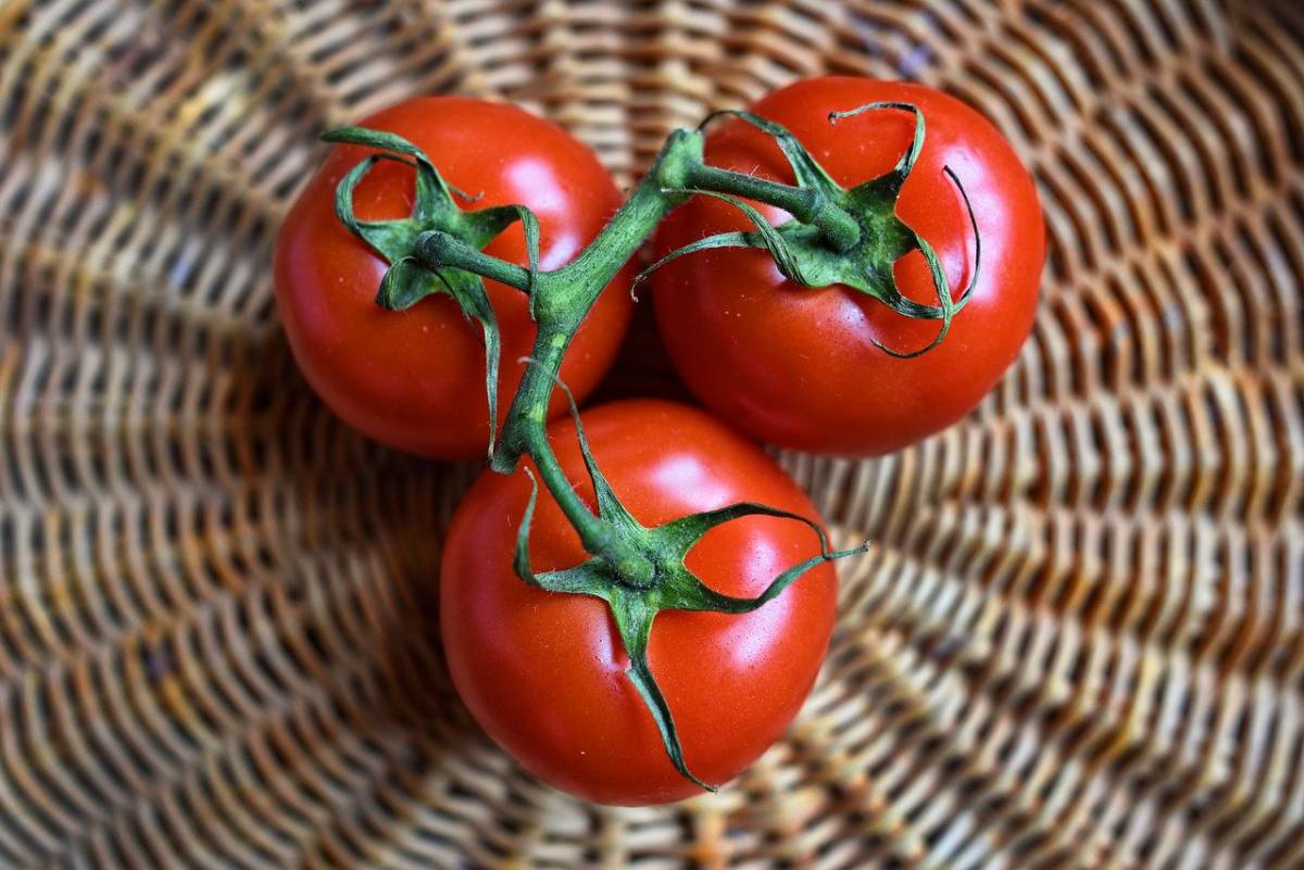 La dieta del Pomodoro: come perdere 2 kg in una settimana article-post
