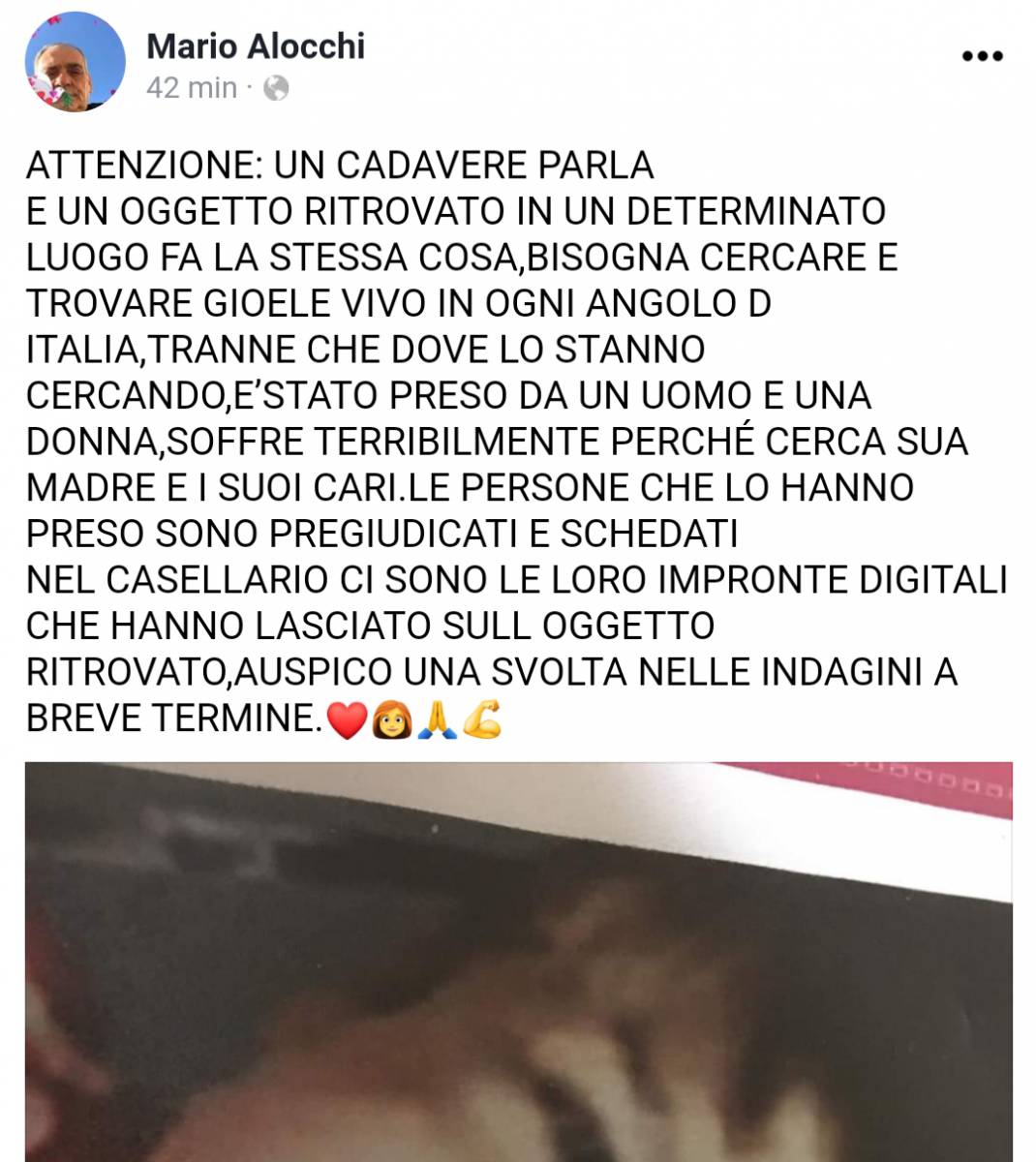 Caso Viviana Parisi: parla il sensitivo Alocchi “Gioele è ancora vivo” article-post