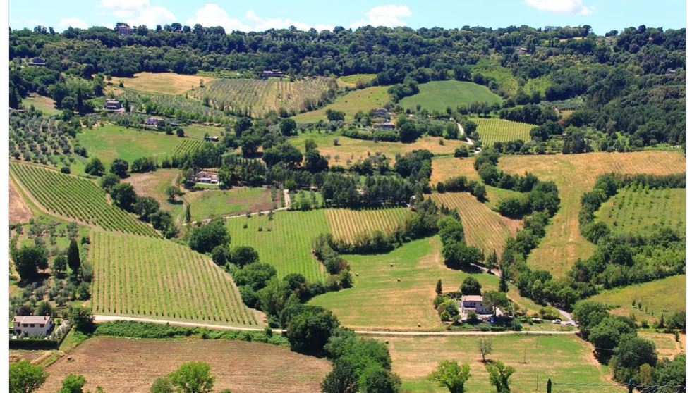 Bonus donne in campo, come accedere al fondo per imprenditrici agricole article-post