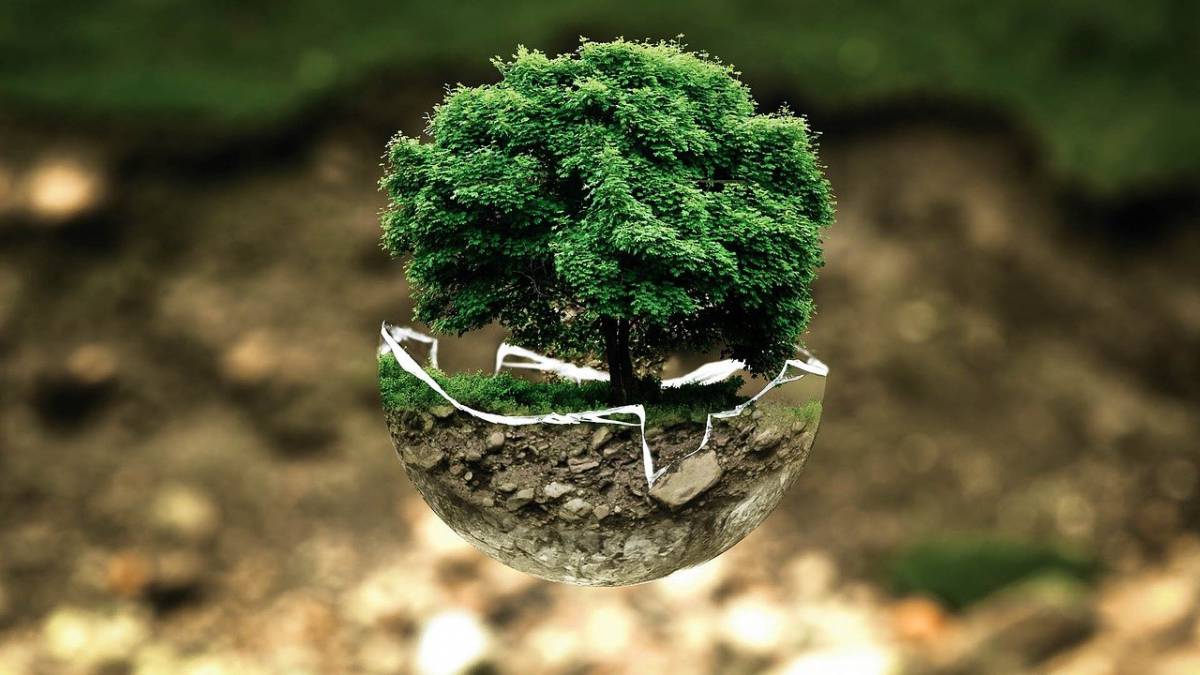 Finanza, gli investimenti green sopravvivono alla crisi da Covid-19 article-post