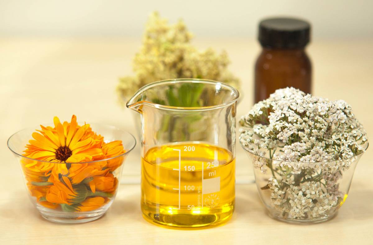 Come affrontare i problemi di digestione con tisane infusi e decotti article-post