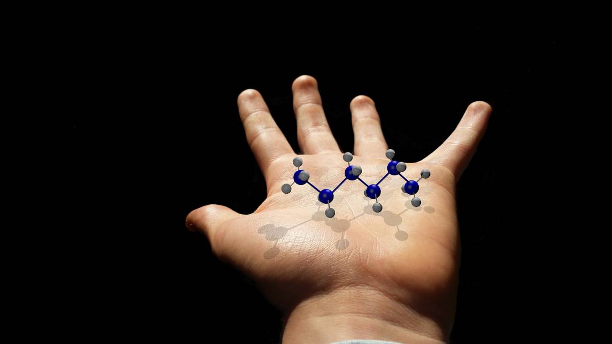 La quercetina può inibire il Covid-19? Ecco i risultati dello studio article-post
