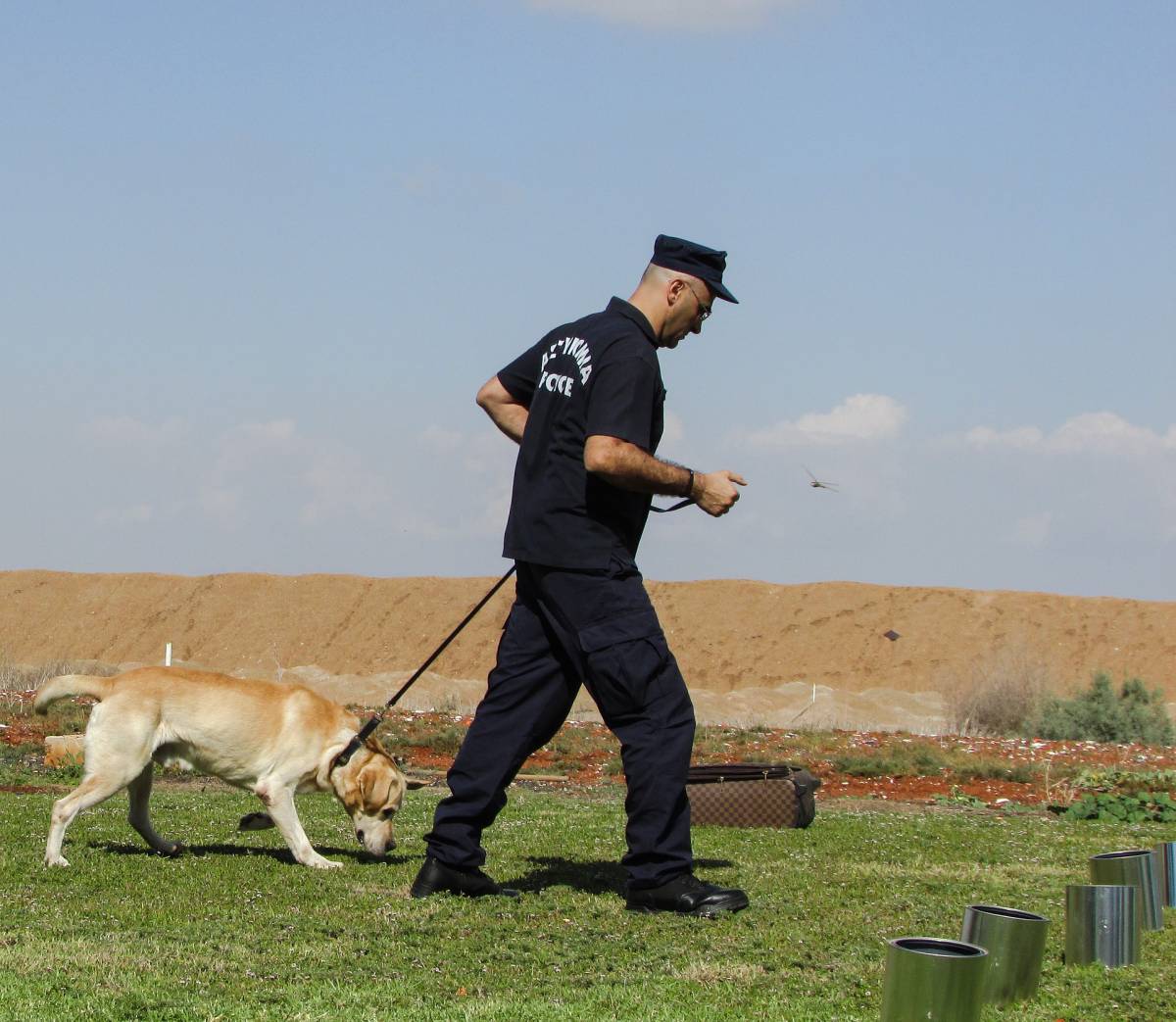 I cani che fiutano il Covid-19 in aeroporto article-post