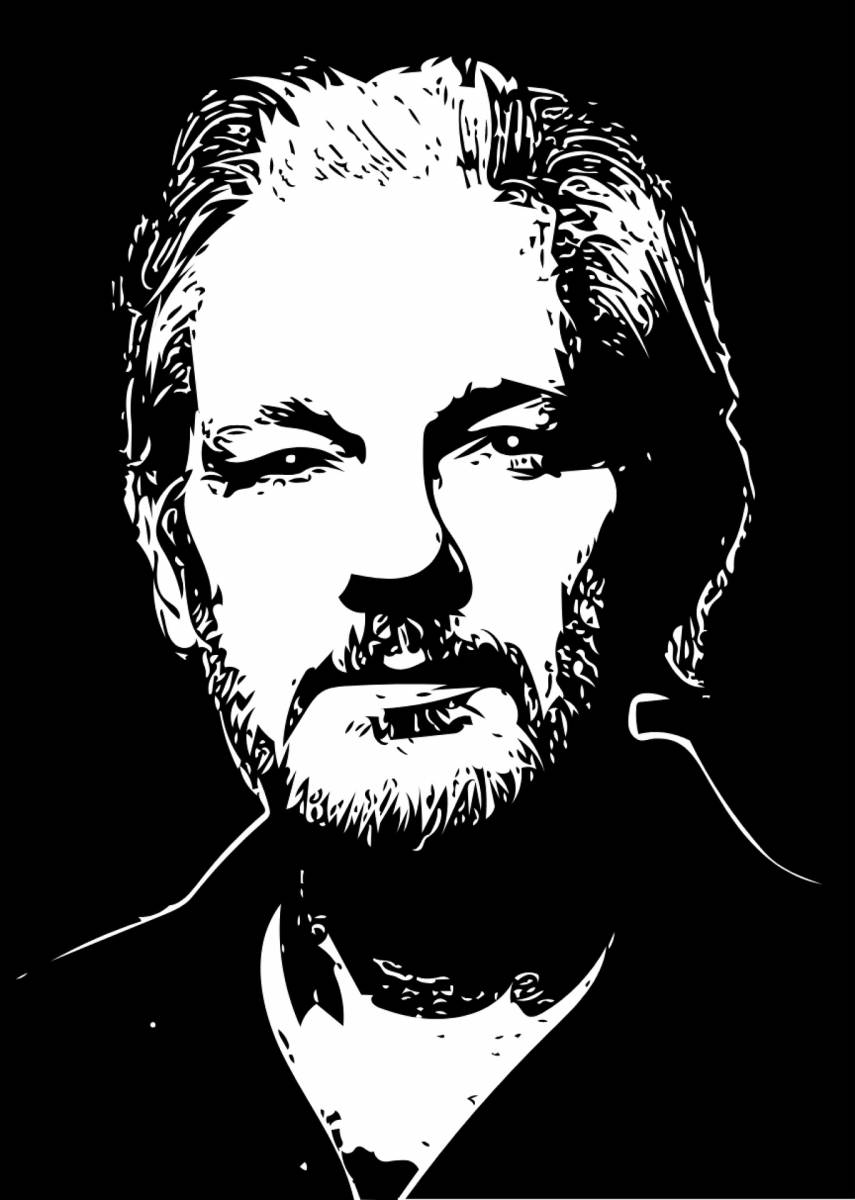 “Assange libero per la nostra libertà”, nella Camera dei Deputati si chiede giustizia article-post