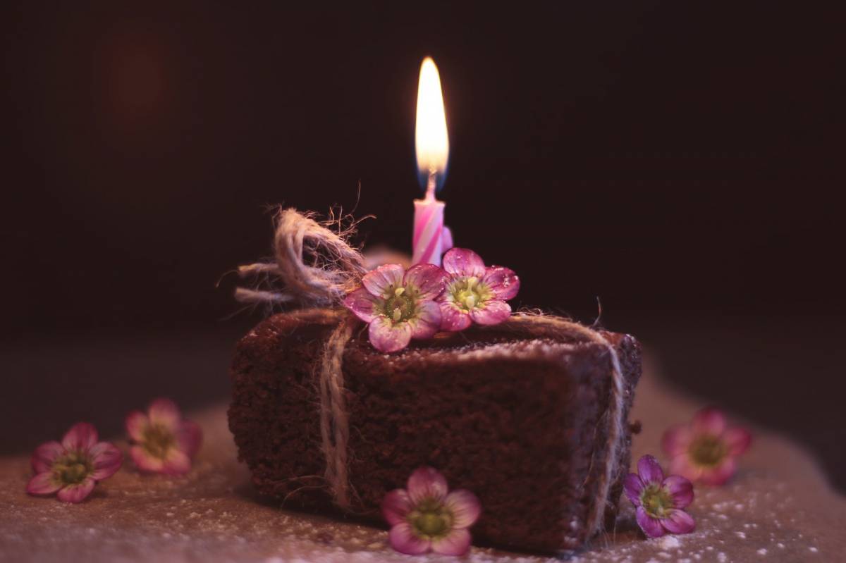 Torta al cioccolato senza farina, la ricetta facile e golosa article-post