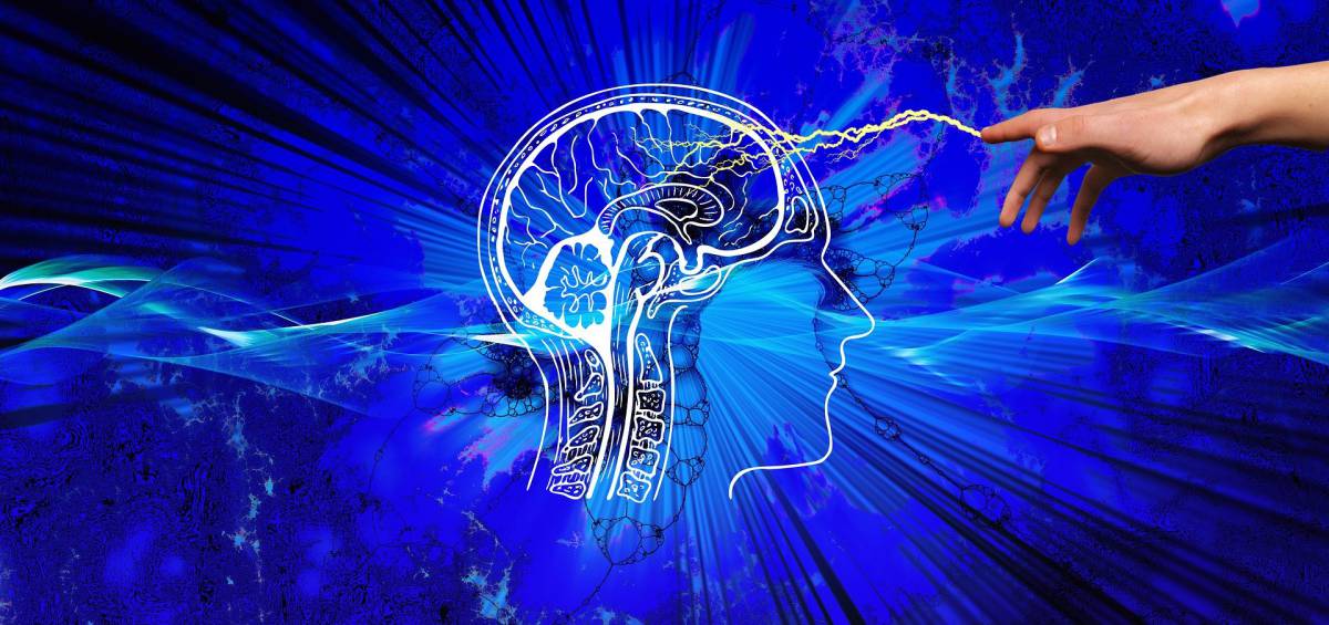 Come fa il cervello a riconoscere gli oggetti? article-post