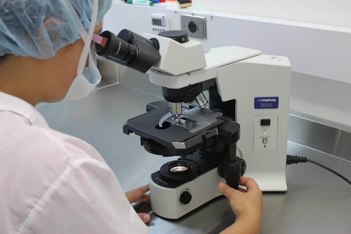 Un microscopio alto 4 metri potrebbe aiutare nella ricerca contro il Covid-19 article-post