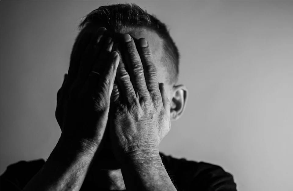 Restituzione bene rubato: dalla legge alle cronache più curiose article-post