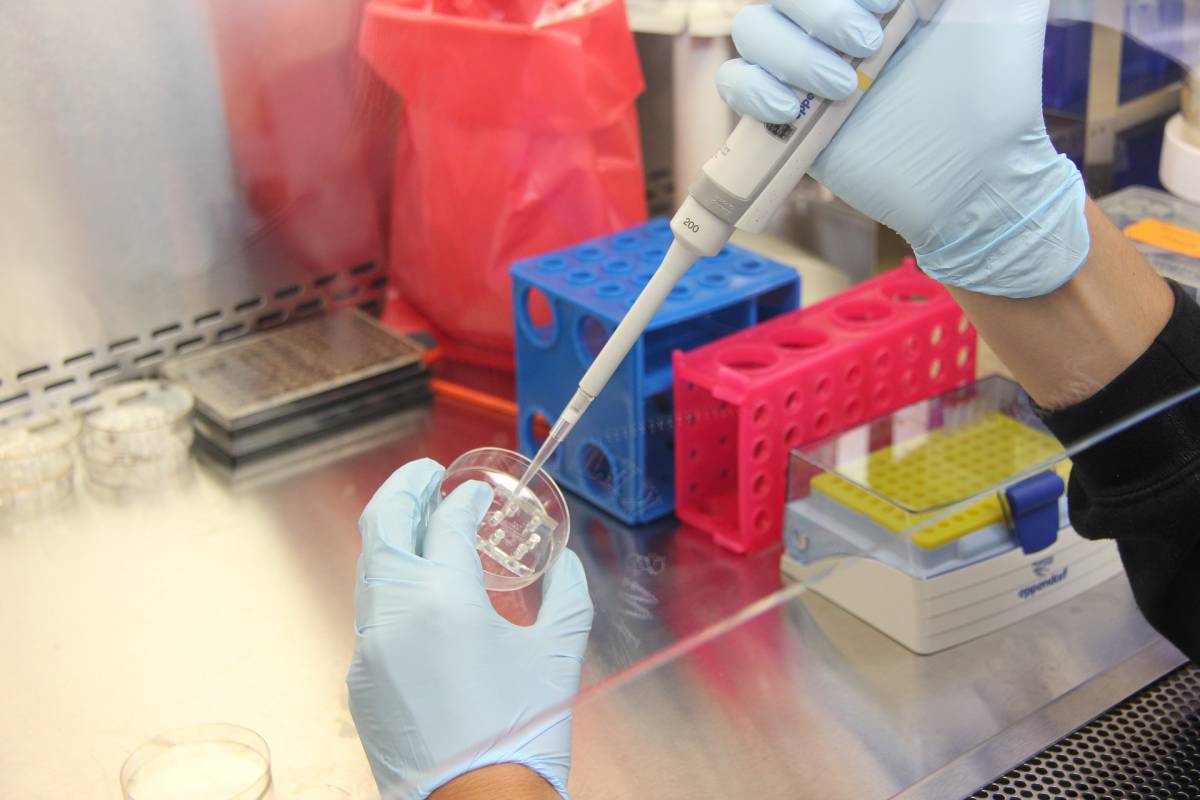Test precoce del cancro cervicale: un nuovo studio article-post