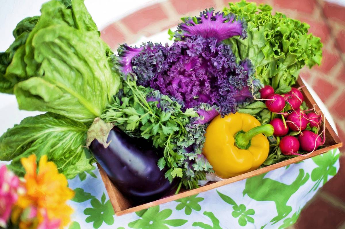 Vuoi sostituire i carboidrati con altri alimenti? Utilizza le verdure article-post