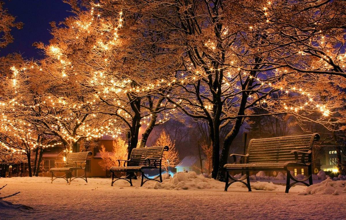 Miozzo: “Tutto questo non finirà a Natale” article-post