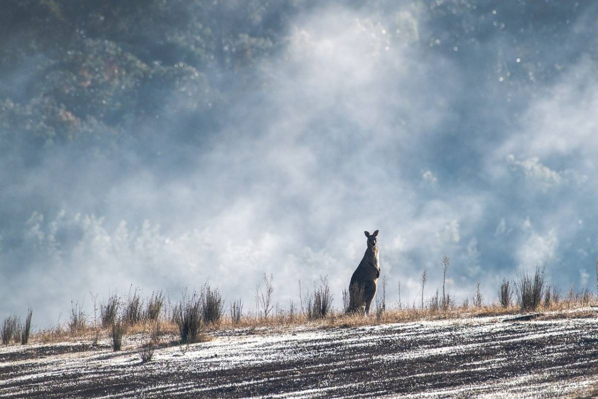 L’Australia è libera dal coronavirus, ecco come ha sconfitto la seconda ondata article-post