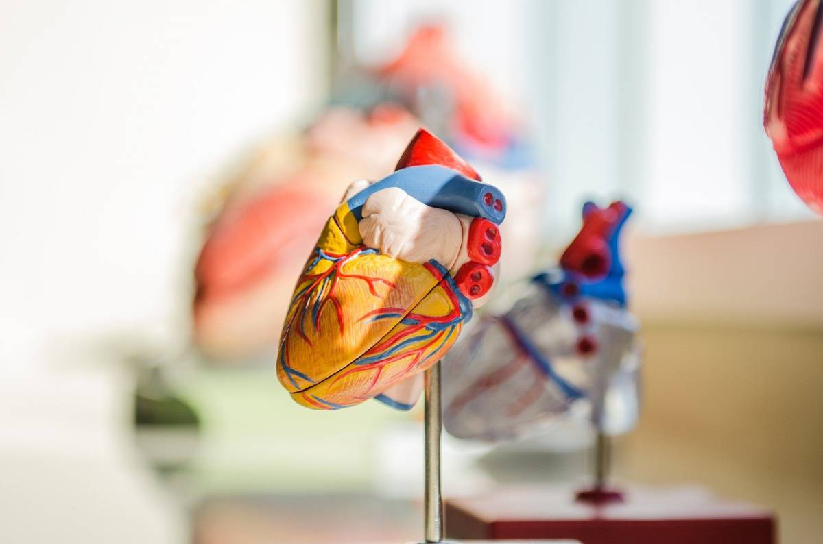 Un cerotto cardiaco per limitare i danni dell’infarto article-post
