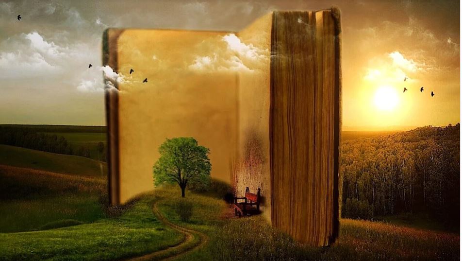 I migliori libri di finanza personale: tra storie di vita e narrazioni sempre attuali article-post