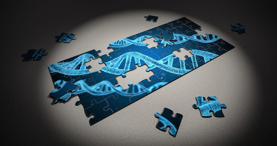 Una mutazione genetica difenderebbe dalle malattie article-post