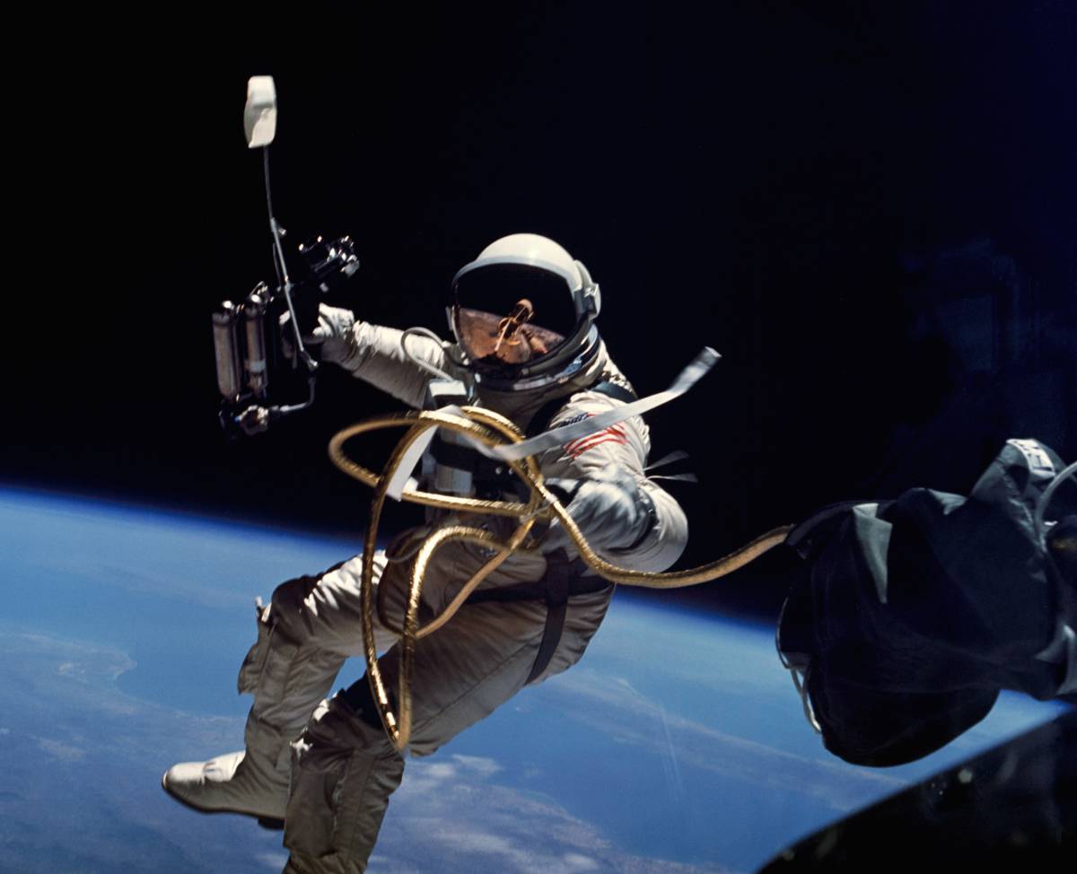 Sono state raccolte le prime piante di ravanello nella Stazione Spaziale Internazionale article-post