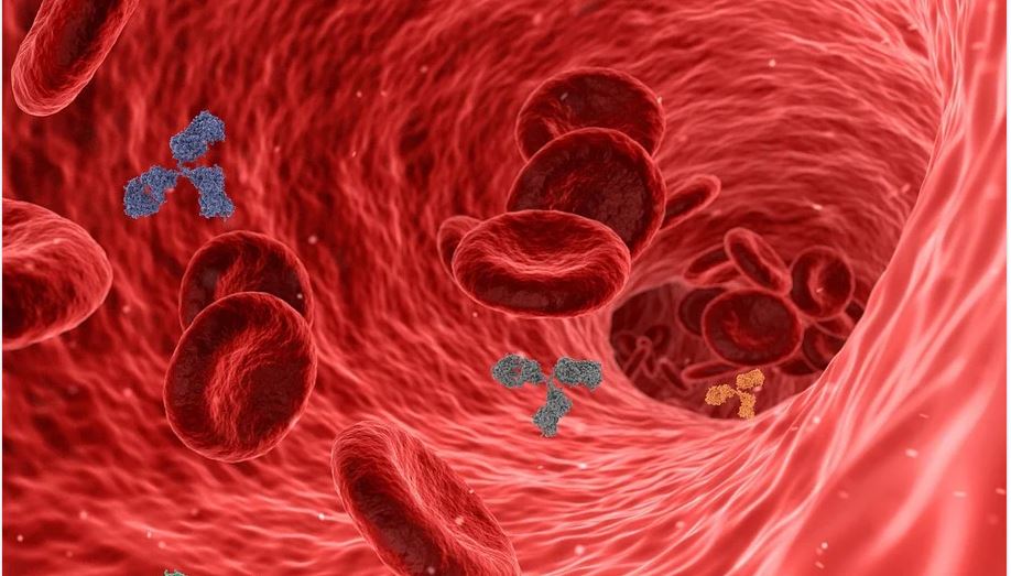 Anticorpi monoclonali e cure anti-Covid, se ne torna a parlare article-post
