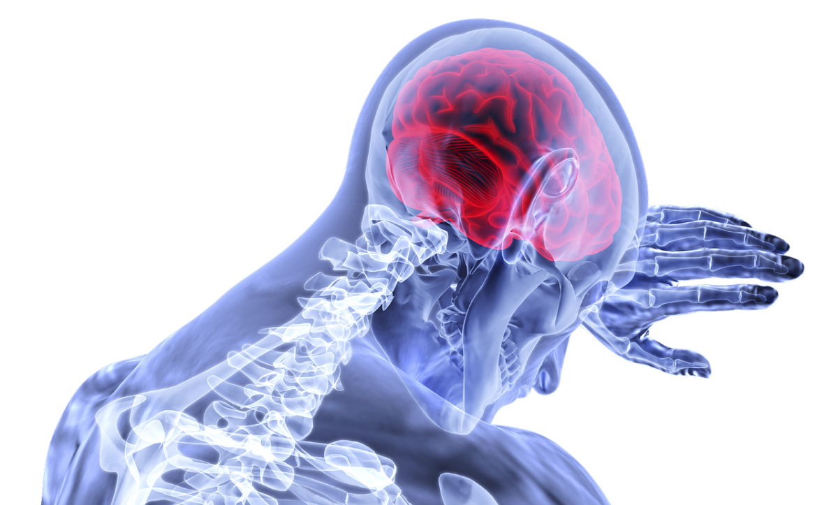Ictus cerebrale: come reagisce il cervello article-post