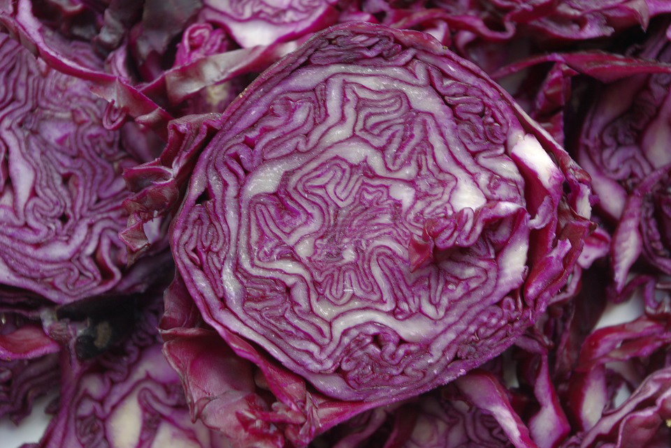 Cavolo cappuccio viola, quali ricette invernali conoscete? article-post