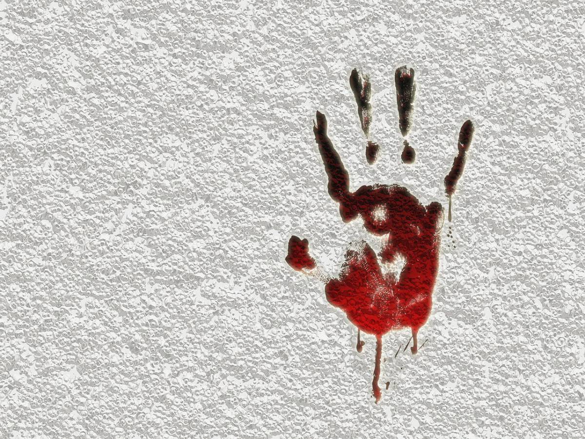Trentino: uccisa la pastora etiope Agitu Gudeta, simbolo di integrazione, arrestato l’assassino article-post