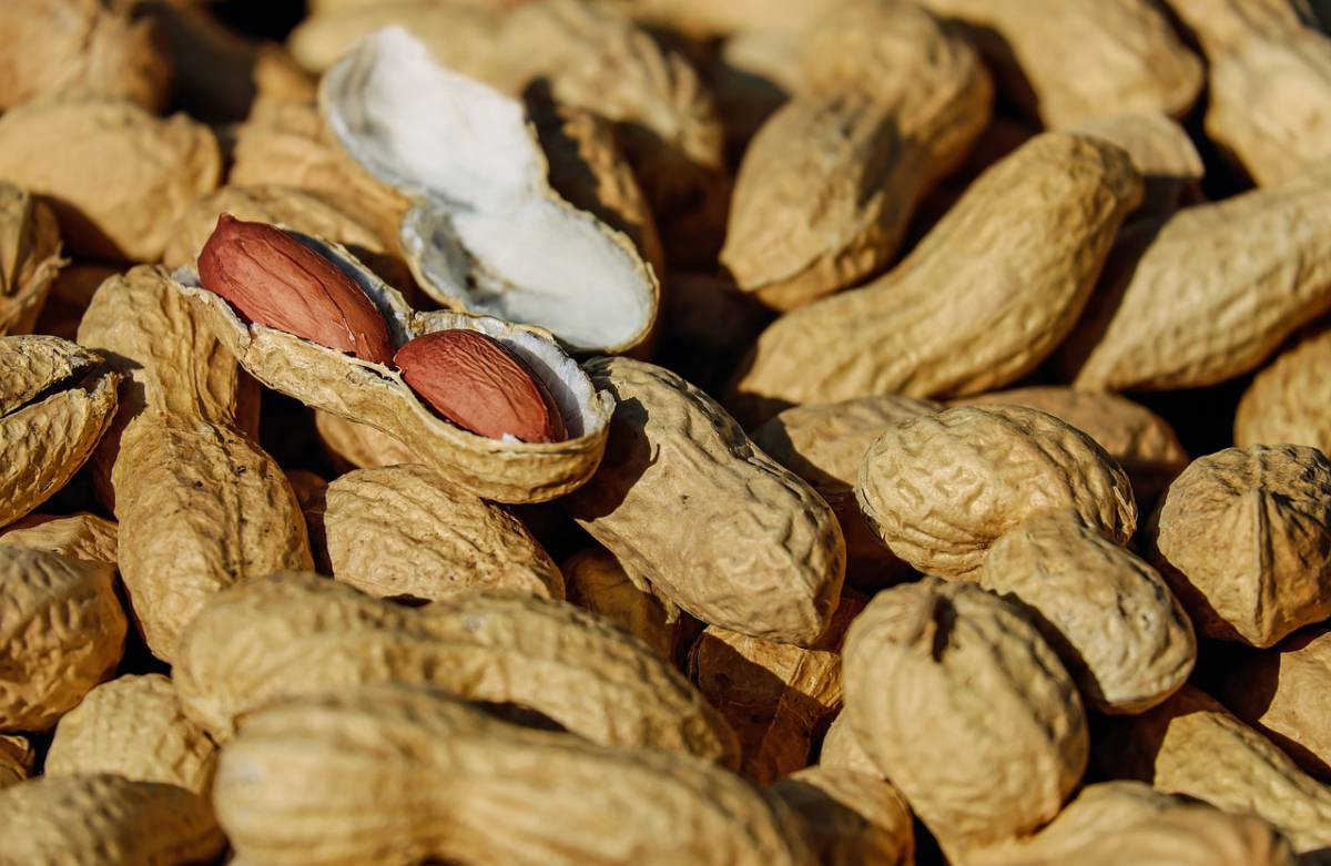 Nestlé e il nuovo preparato per l’allergia alle arachidi article-post