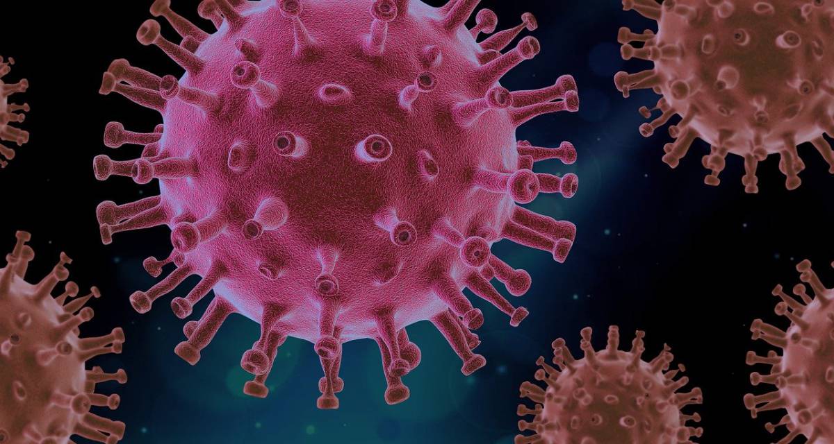 Come le zanzare potrebbero salvarci dai virus article-post