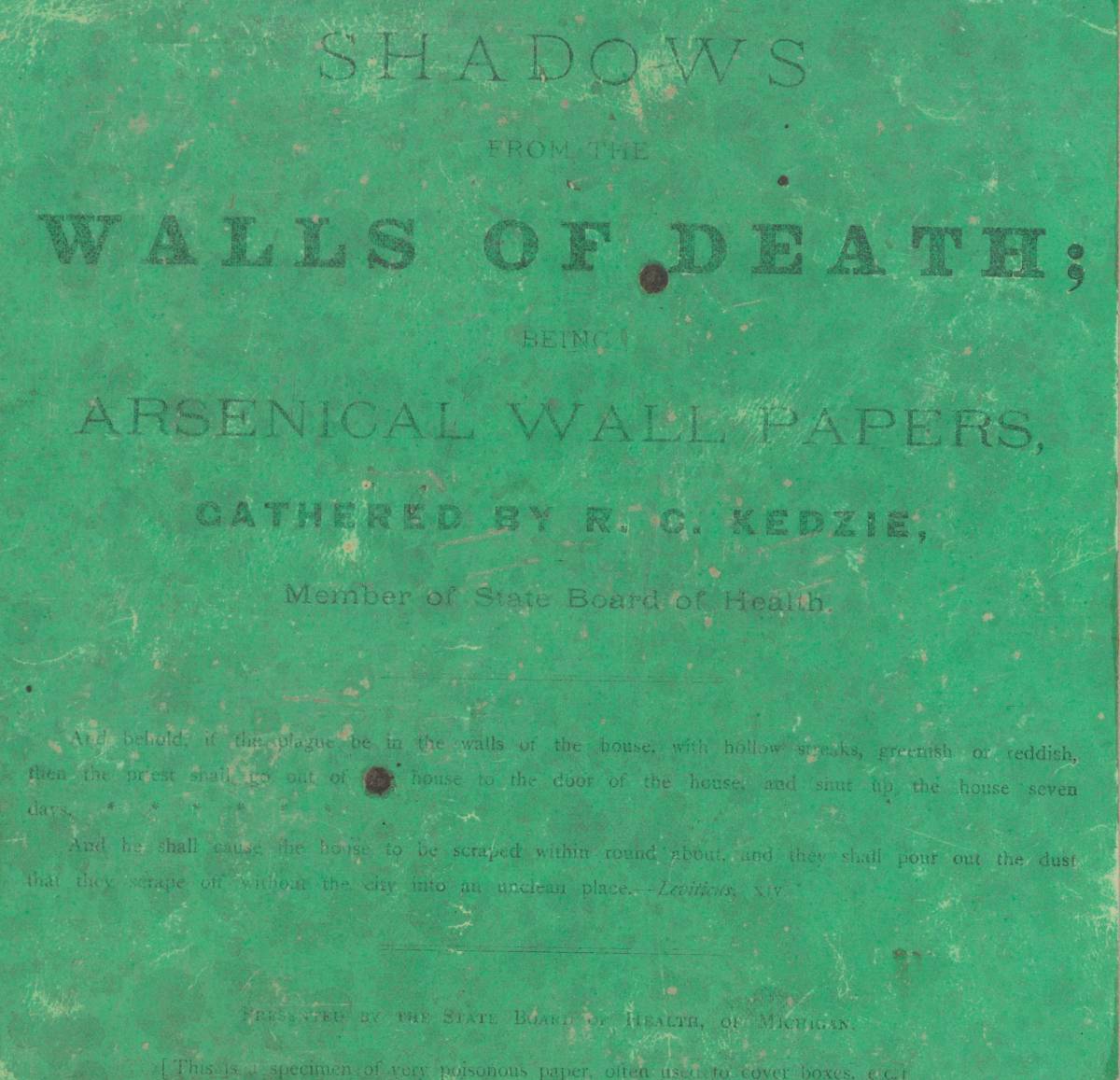 La storia incredibile di Shadows from the Walls of Death, il libro che ti uccide article-post