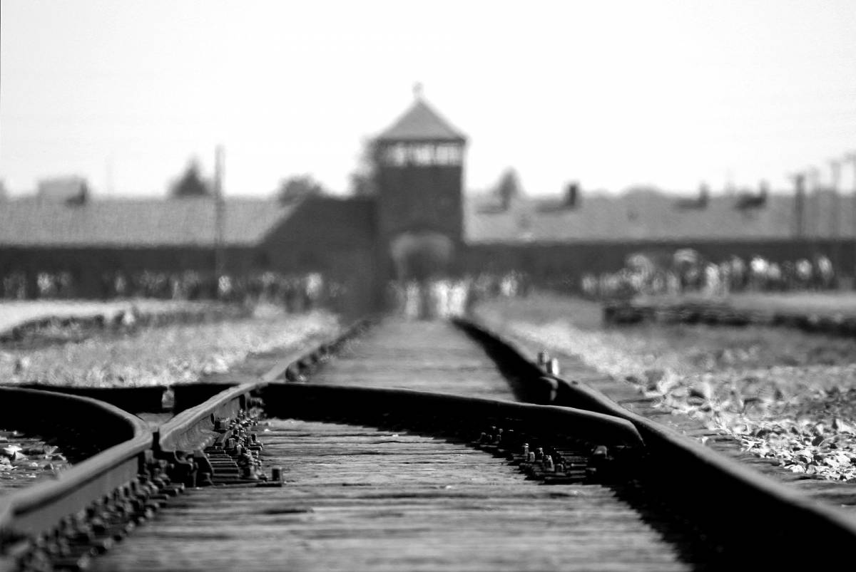 Giorno della Memoria, per non dimenticare la Shoah, eventi e celebrazioni article-post