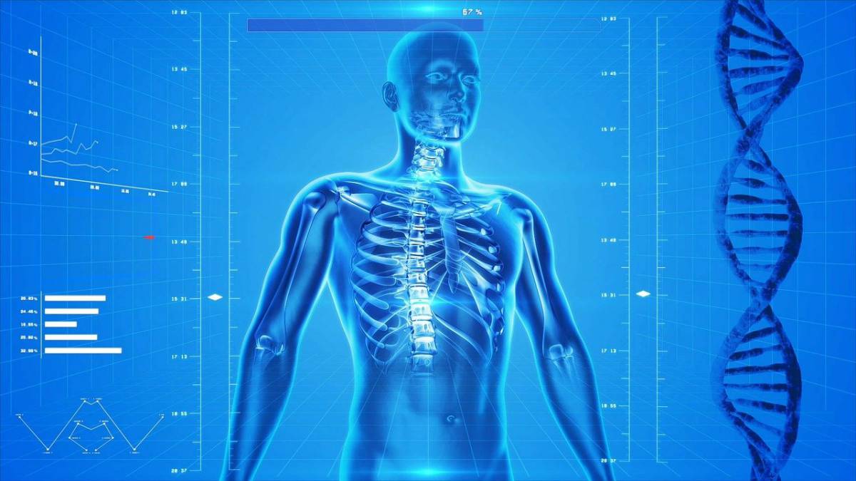 Un calcolatore dell’età scheletrica prevede il rischio di frattura article-post